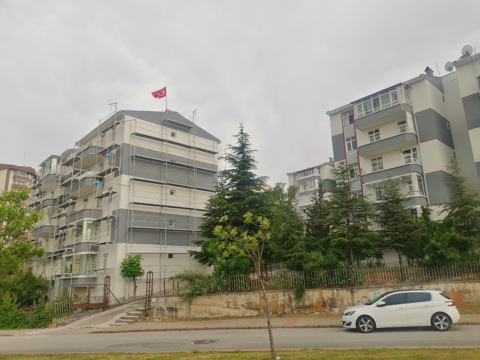 Öz petek 7